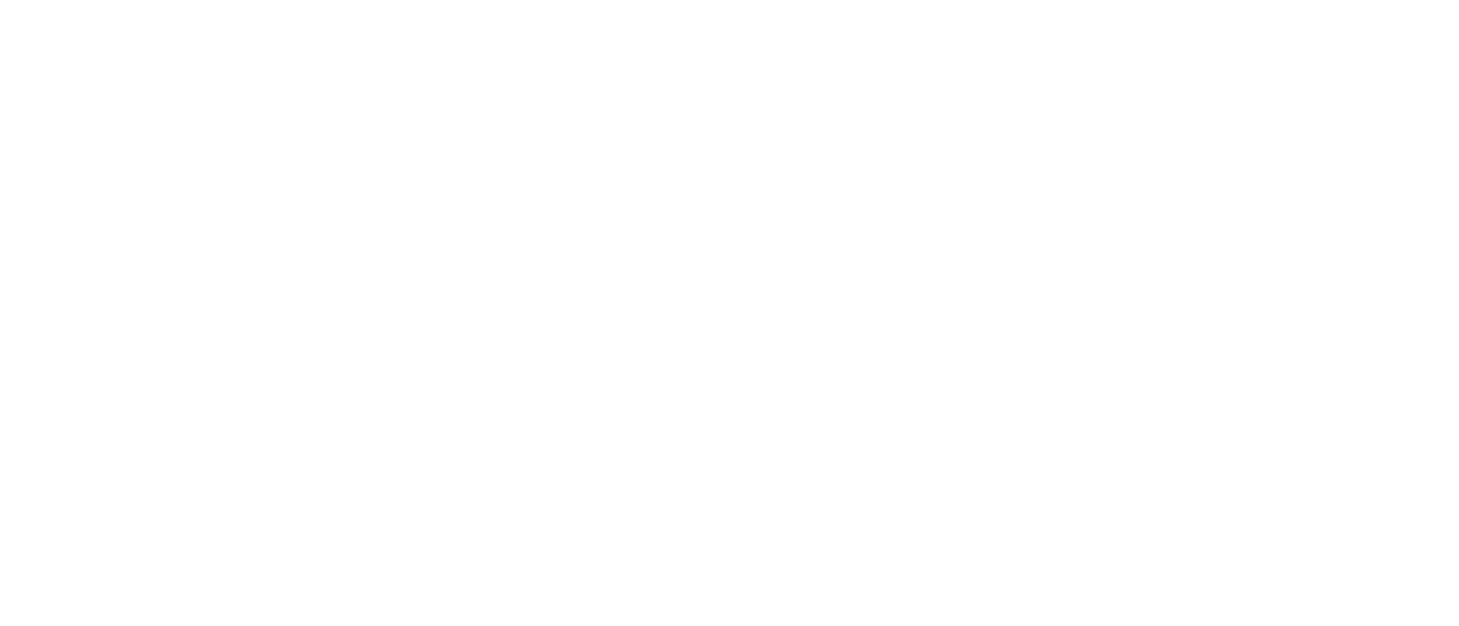 logo Hernan Salinas